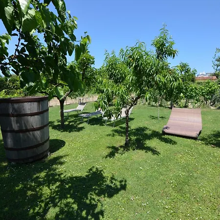 In Gatteo Mare Near Daire Gatteo a Mare