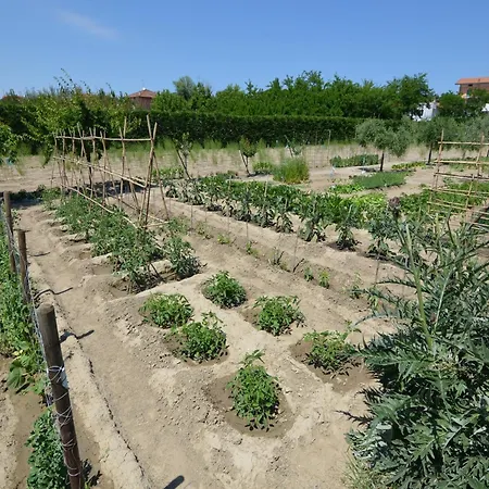 In Gatteo Mare Near *