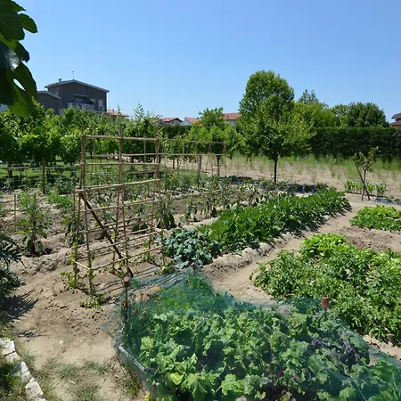 In Gatteo Mare Near Gatteo a Mare