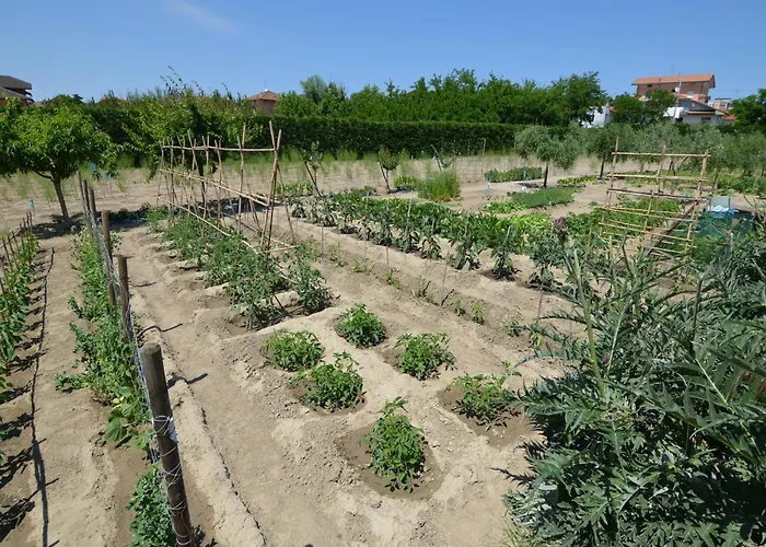 In Gatteo Mare Near *