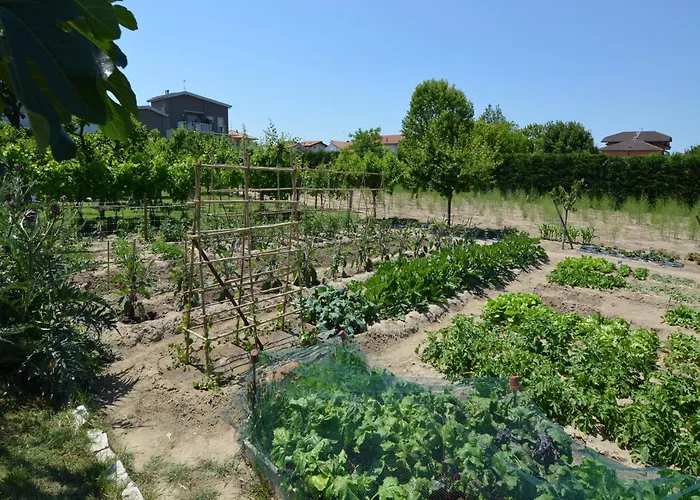 In Gatteo Mare Near Gatteo a Mare